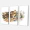 Designart - Vintage Birds In The Wild III - Traditional Canvas Wall Art Print